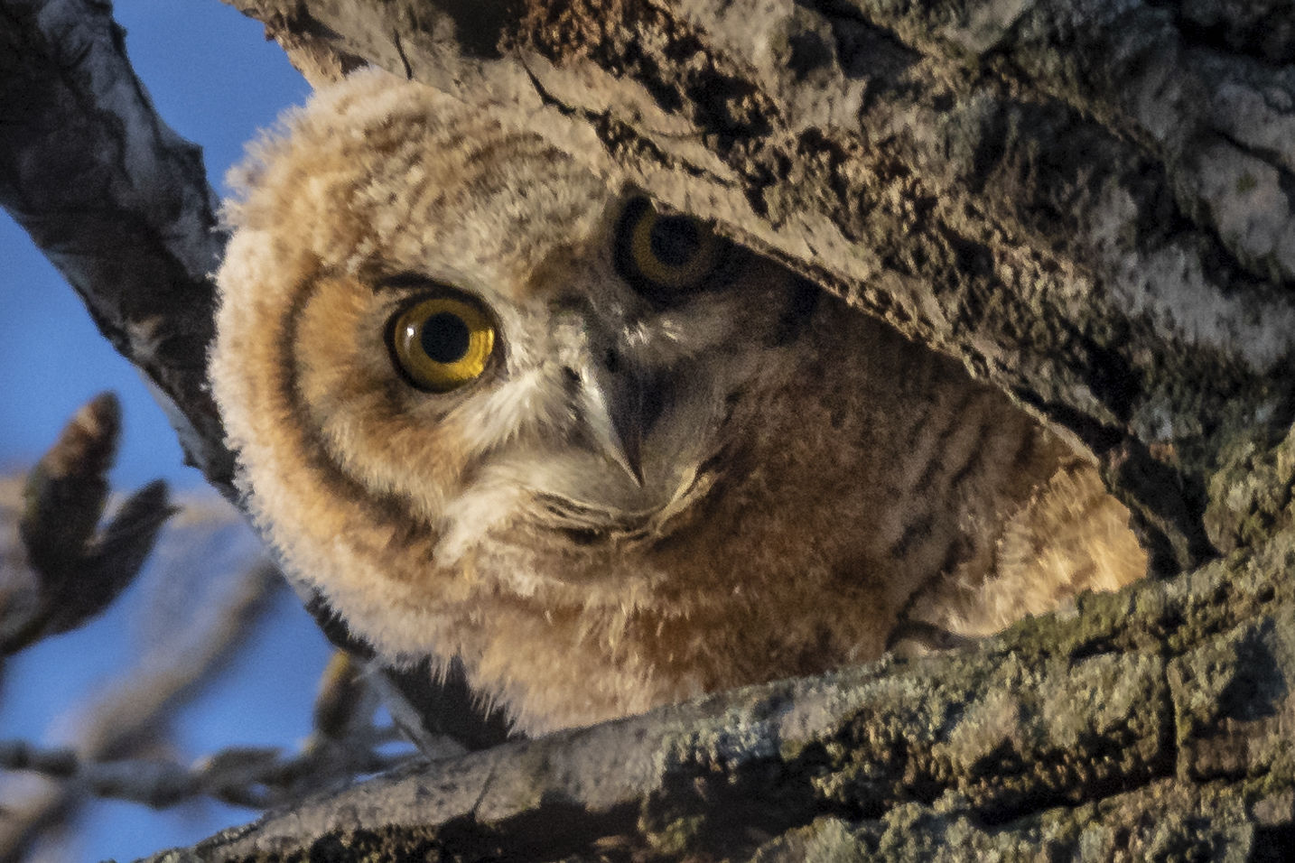 Tom White photography